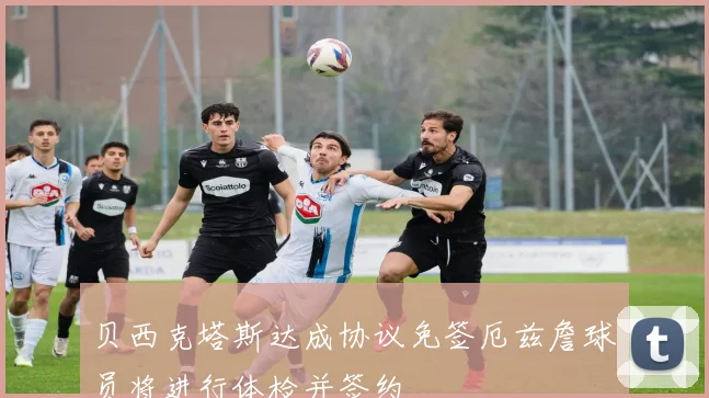 贝西克塔斯达成协议免签厄兹詹球员将进行体检并签约
