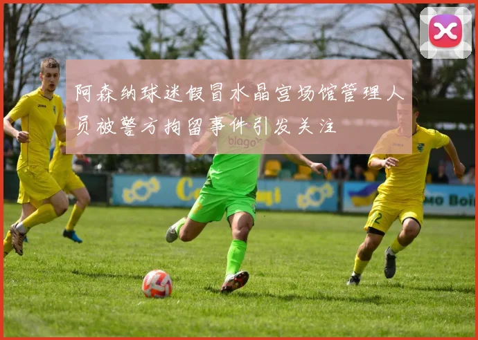 阿森纳球迷假冒水晶宫场馆管理人员被警方拘留事件引发关注
